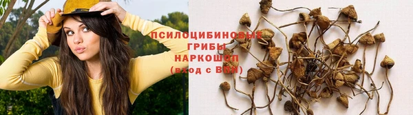 героин Алзамай