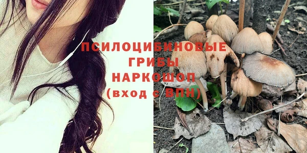 СК Арсеньев