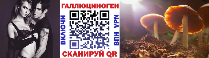 OMG зеркало  Холм  Псилоцибиновые грибы ЛСД 